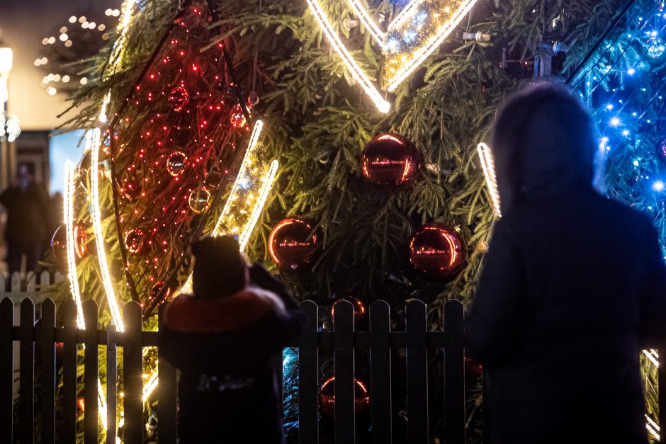 Sostinės Rotušės aikštėje įžiebta Kalėdų eglė