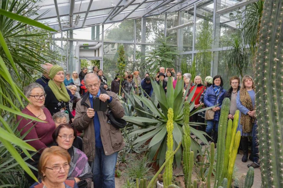 Advento akcentas – Biblijos augalų paroda VDU Botanikos sode