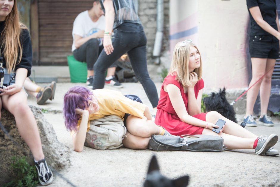 Tarptautinis jaunų grupių konkursas „Novus“: nuo liūdnų šunų iki scenos chuliganų