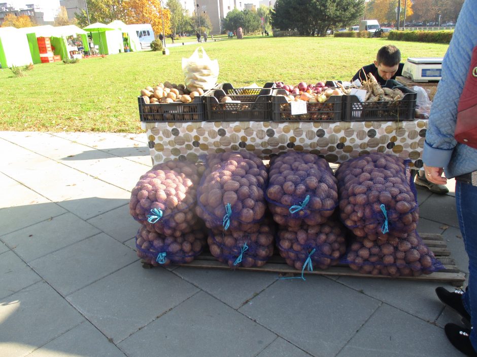 Kaunietis: kodėl Kauno turguose taip stipriai skiriasi vaisių ir daržovių kainos?