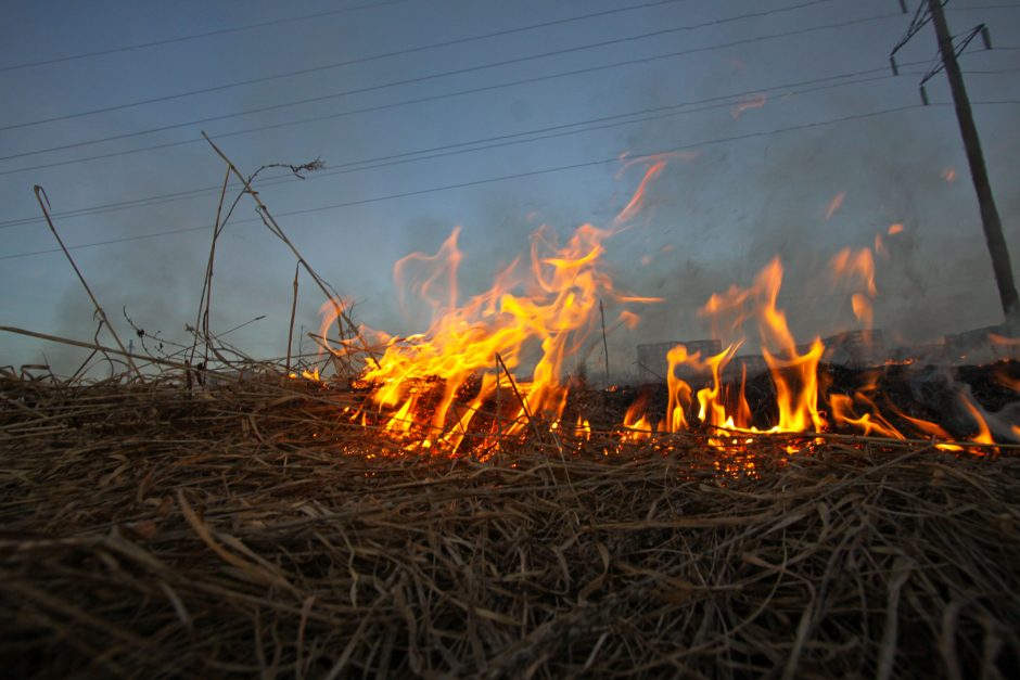 Lietuvoje stipriai dega pernykštė žolė, Panevėžyje išdegė 45 hektarai 