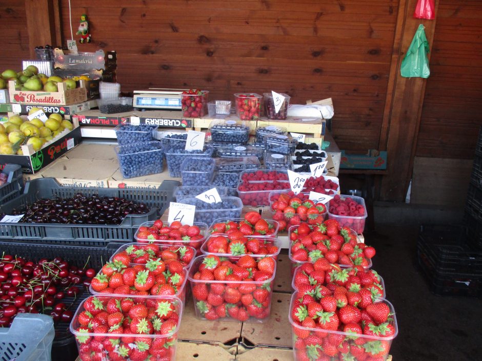 Uogų, vaisių ir daržovių kainų skirtumas Palangos ir Kauno turguose – milžiniškas 