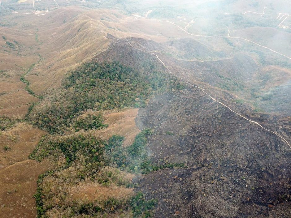Brazilijos prezidentas kovai su miškų gaisrais ketina pasitelkti kariuomenę