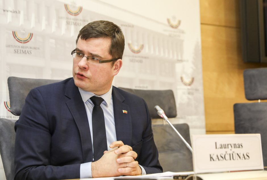 L. Kasčiūnas apie I. Rozovos apkaltą Seime: gal visuomenė vėl išeis į gatves