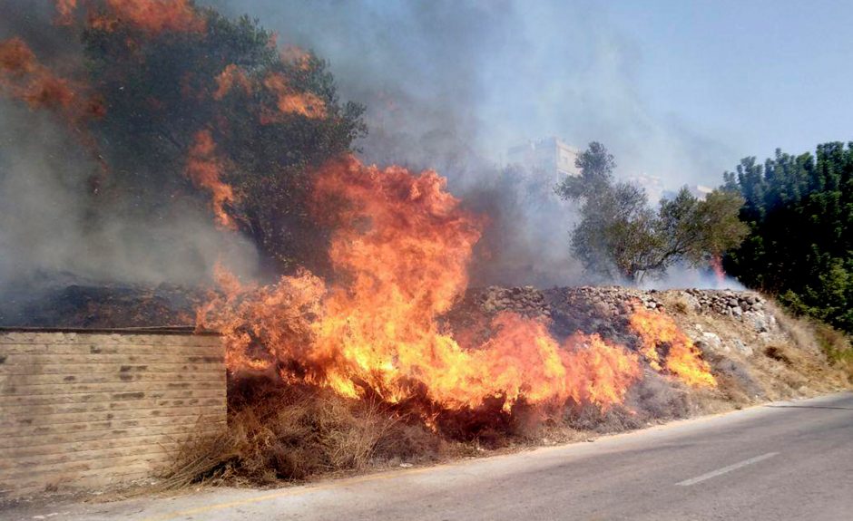 Sirijoje ir Libane siautėjančiuose miškų gaisruose žuvo du žmonės