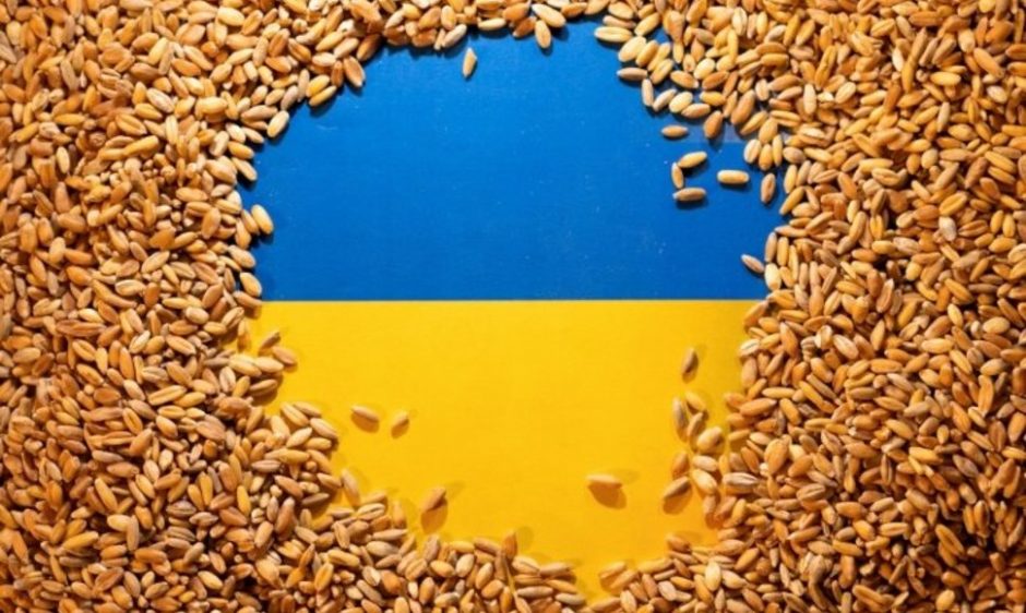 Ukraina teigia pateikusi ieškinį kaimynėms dėl grūdų importo draudimo 