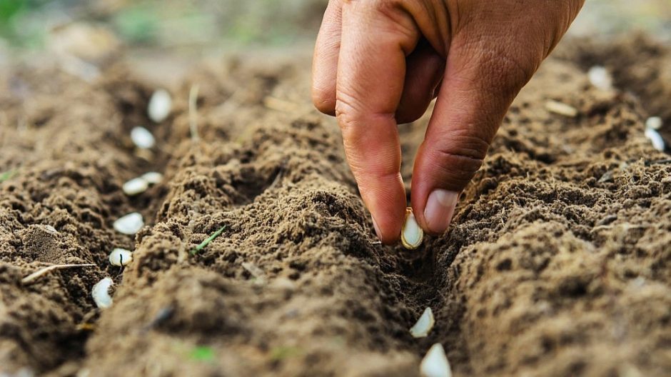 10 žingsnių, kurie derlių padės auginti lengviau