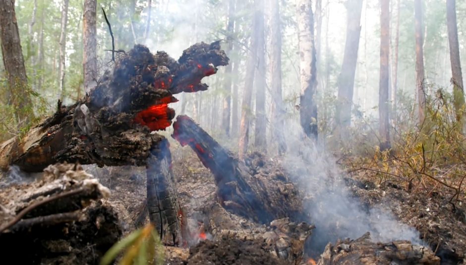 Sibire intensyvėjančių miškų gaisrų skleidžiami dūmai pasiekė Šiaurės ašigalį
