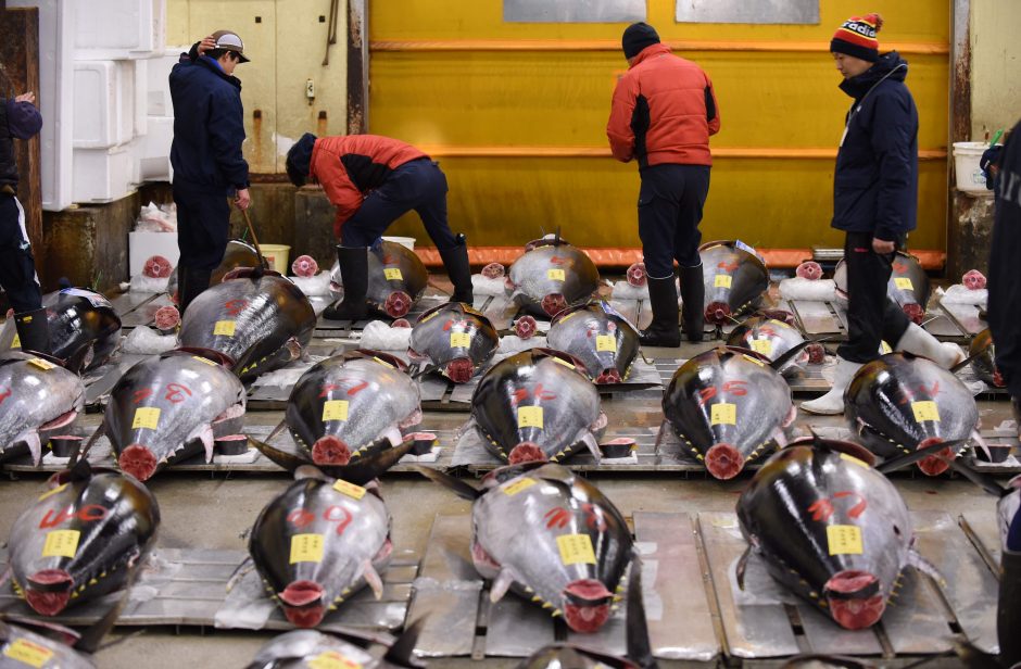 Už tuną –  daugiau nei 268 tūkst. eurų