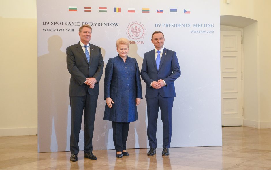 Baltijos ir Vidurio Europos šalių vadovų susitikimas Lenkijoje