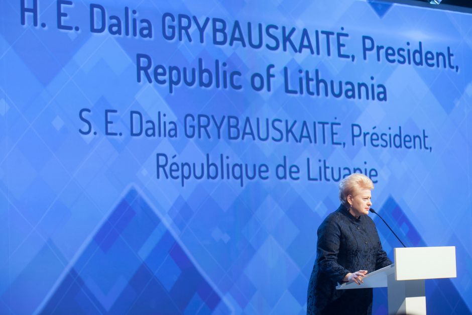 Vilnius sulaukė priekaištų dėl Rusijos ignoravimo