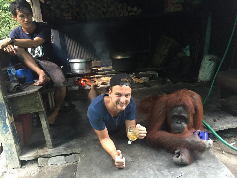 Trys savaitės pas Džiunglių karalienės miško žmones ir orangutanus