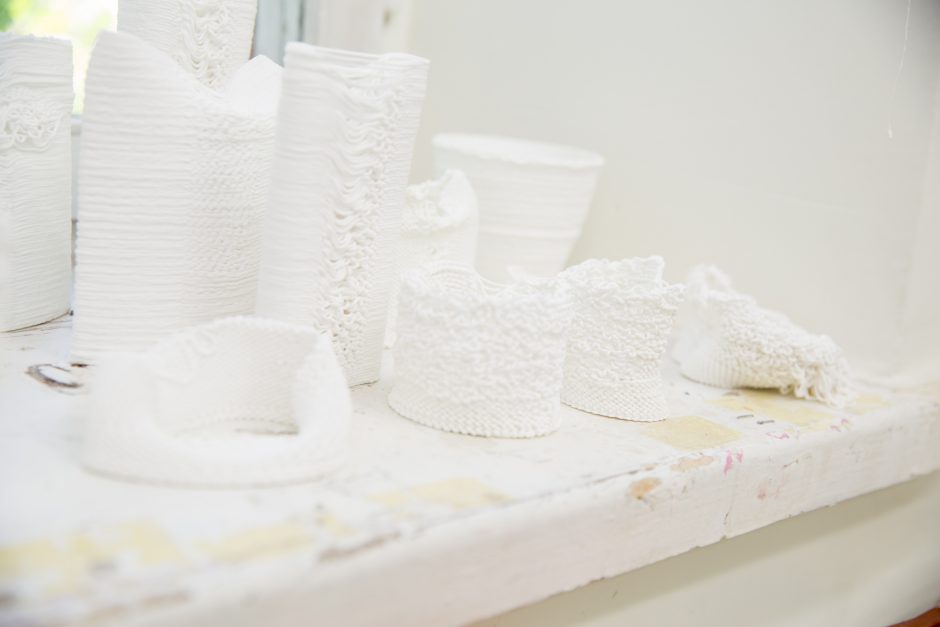 Eksperimentuoti kviečia kaulinis porcelianas, mikrobiologija ir 3D spausdintuvai