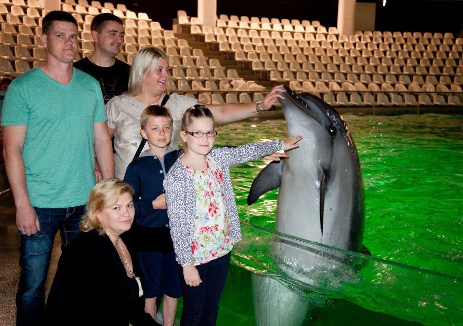 Jūrų muziejuje tiriamas terapijos poveikis delfinams
