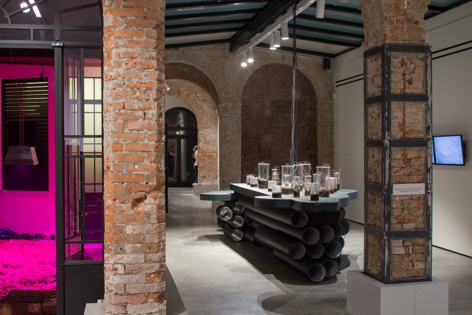 Venecijos architektūros bienalėje atidaromas Lietuvos „Pelkių paviljonas“