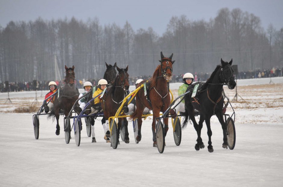 Valstybės atkūrimo 100-čiui skirtose lenktynėse – 100 žirgų