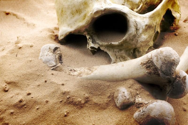 Vilniaus rajone rasta žmogaus kaukolė ir kaulų dalys
