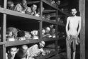 Buchenvaldo koncentracijos stovyklos kaliniai.