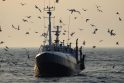 Situacija: kol Vakarų Europos šalys saugo žuvis Baltijos jūroje, Rusijos žvejai jas intensyviai gaudo.