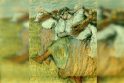 Praregėta: Londono nacionalinėje galerijoje saugoma E.Degas pastelė, kurioje vaizduojamas ukrainiečių šokis, pagaliau pavadinta tikruoju vardu.