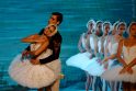 1877 metais Maskvoje įvyko Piotr Čaikovsky (Piotro Čaikovskio) baleto „Gulbių ežeras“ premjera.