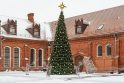 Gražėja: taip pagrindinė Kauno rajono Kalėdų eglė atrodė ketvirtadienio vidurdienį.