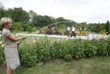 Priemonė: Klaipėdos universiteto Botanikos sodas neturi laistymo sistemos, todėl augalus patys darbuotojai lieja vandeniu, kuris atgabenamas iš upės.