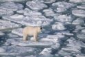Arkties ledynai tirpsta vis greičiau