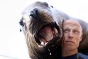 Kas nutinka, kai žmogų užpuola gigantiškas jūrų liūtas? (foto)