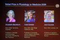 Nobelio medicinos premija skirta 3 JAV mokslininkams