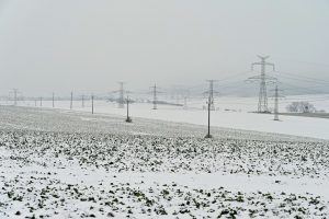 „Litgrid“: elektros kaina per savaitę Lietuvoje išaugo 7 proc.