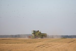 Pradedamas pasėlių deklaravimas, ūkininkai baiminasi chaoso