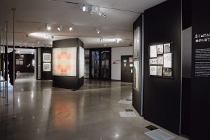 MO muziejuje atidaroma paroda „Žemyn triušio urvu“ 
