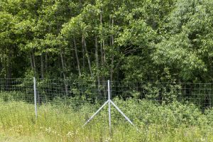 Pradėtas tyrimas dėl valstybinės tvora apjuostos žemės – gyventojai negali patekti į mišką