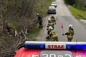 Smarki audra Lenkijoje: virstantys medžiai užmušė penkis žmones, tarp jų – du vaikai