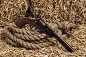 Šulinyje rastas medžioklinis šautuvas ir šoviniai: sulaikytas girtas įtariamasis