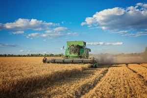 Lietuva ketina skųsti EK sprendimą dėl 13 mln. eurų sumažintos paramos žemės ūkiui