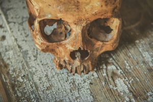 Kauno rajone rasta žmogaus kaukolės dalis
