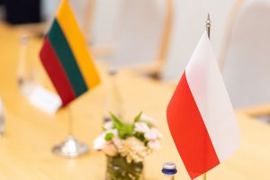 Premjerė apie ambasadoriaus Lenkijoje paieškas: tai – vis dar procese