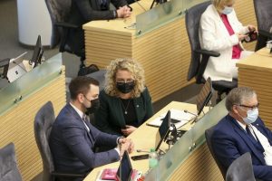 Pirmas žingsnis patyrė fiasko: Seimas nepritarė partnerystės įteisinimui