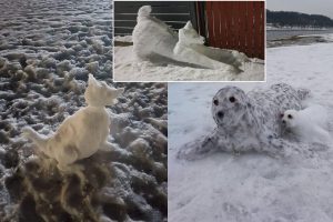 Šančiškiai stebina įspūdingais sniego gyvūnais: gausiau pasnigus ragina kurti visą skulptūrų parką!