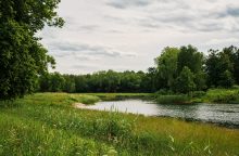 Ukraina: pasienio upėje rasti dar trijų skenduolių lavonai