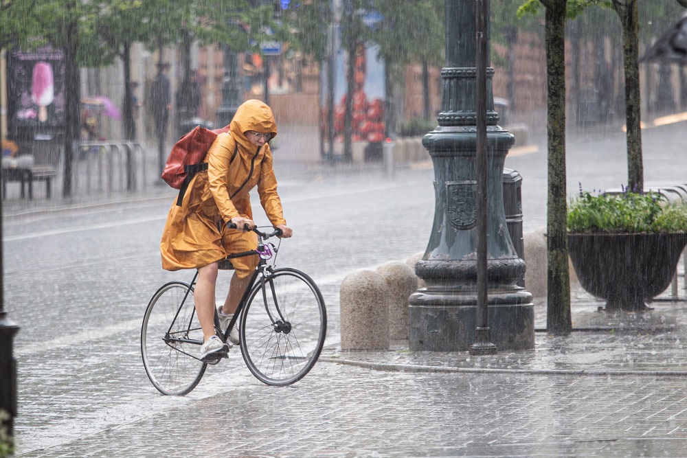 Rowerzyści są jak na pierwszej linii frontu: codziennie liczone są ofiary