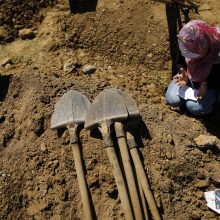 Srebrenicos metinės: Serbijos premjeras apmėtytas akmenimis