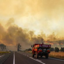 Per miškų gaisrus pietryčių Turkijoje žuvo penki žmonės