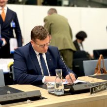 Ministras: tarptautiniam fondui oro gynybos priemonėms Ukrainai Lietuva skyrė 16 mln. eurų