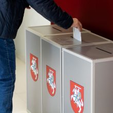 Šių metų Seimo rinkimuose dalyvauti galės dvi naujos partijos