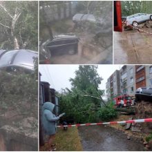 Audra siautėjo: Petrašiūnuose nuvirtęs medis pakėlė automobilį