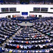 Europos Parlamento rinkimai: kaip balsavo Europa?
