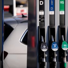 Vyriausybė pritarė parlamentarų siūlymui didinti į rinką tiekiamų biodegalų kiekį